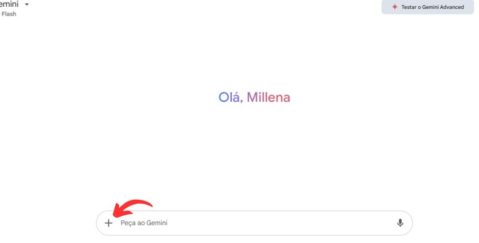  Reprodução/Millena Borges