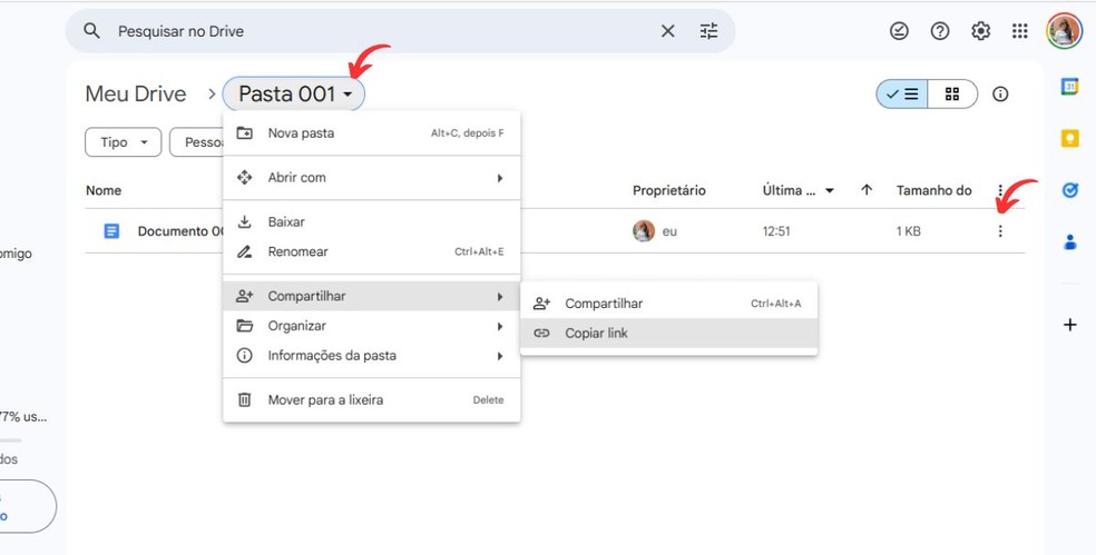  Reprodução/Millena Borges