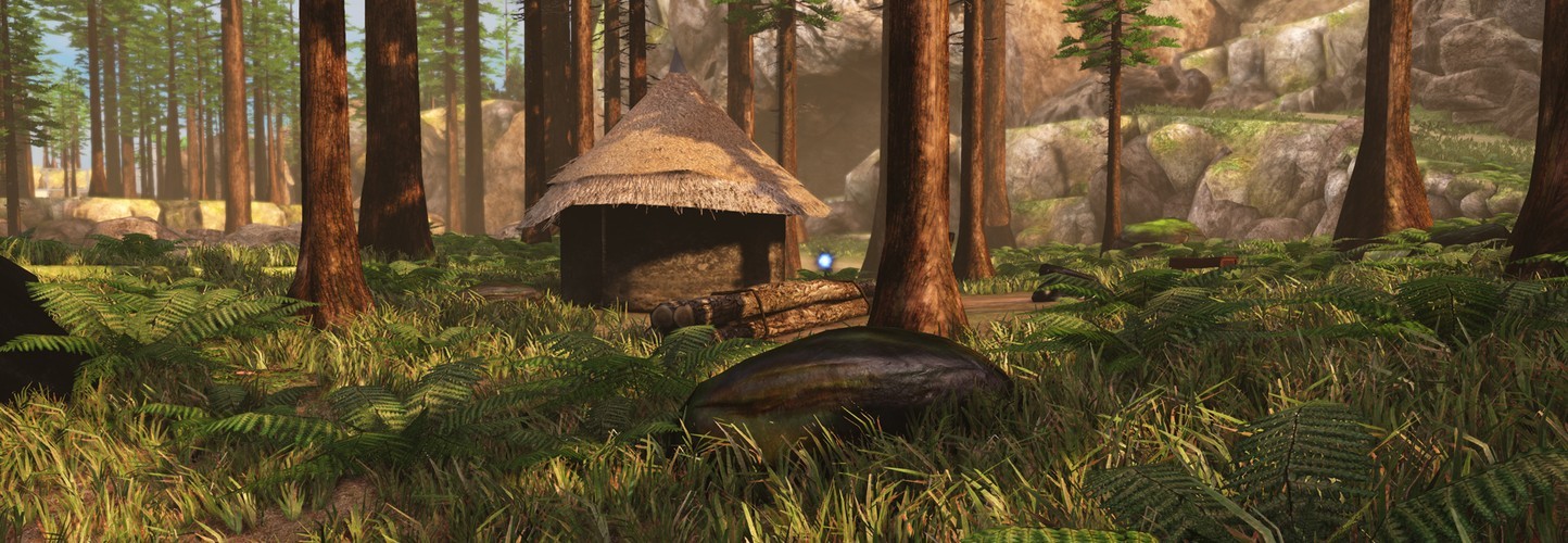 Review The Forest