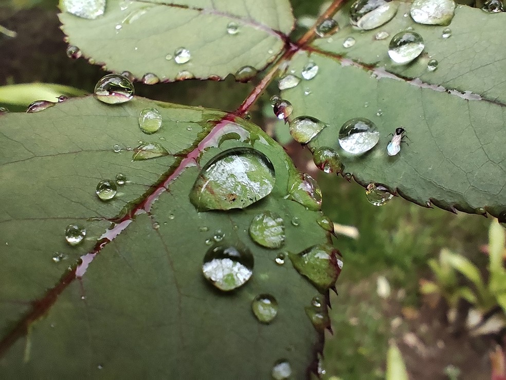  Ana Letícia Loubak/TechTudo