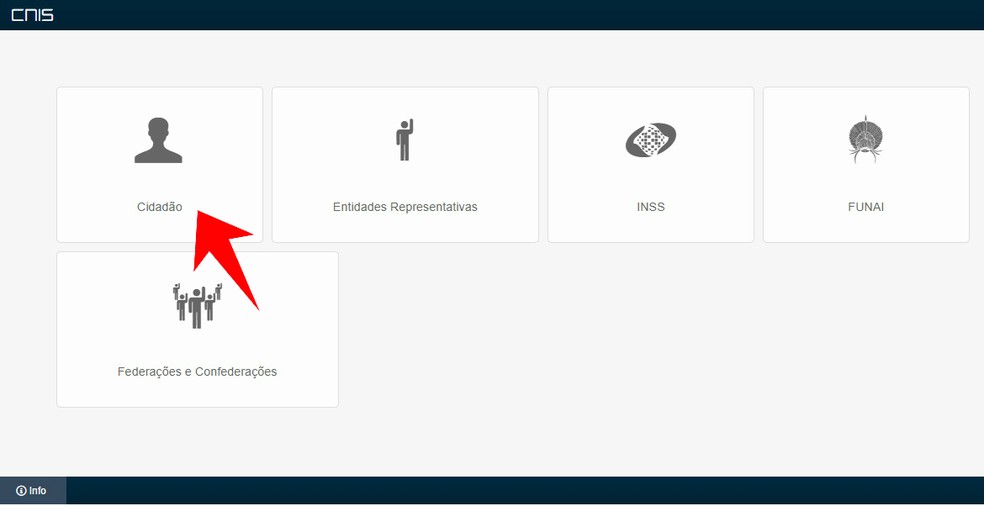 Acesse o site do CNIS para descobrir o número do PIS — Foto: Reprodução/Rodrigo Fernandes