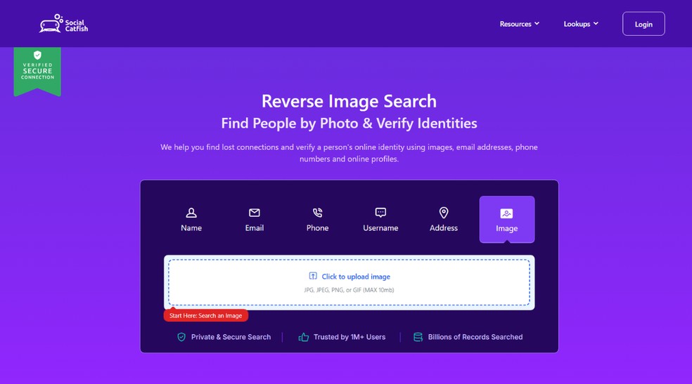  Reprodução/Júlia Silveira