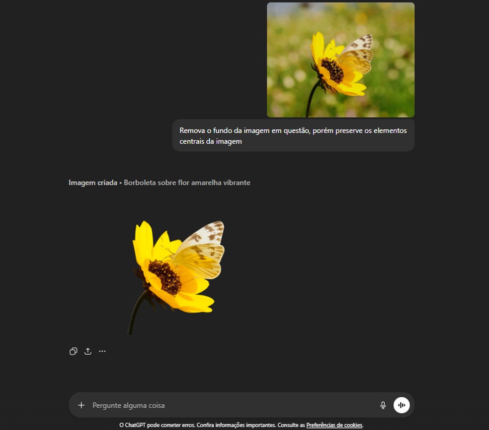  Reprodução/Gabriel Pereira