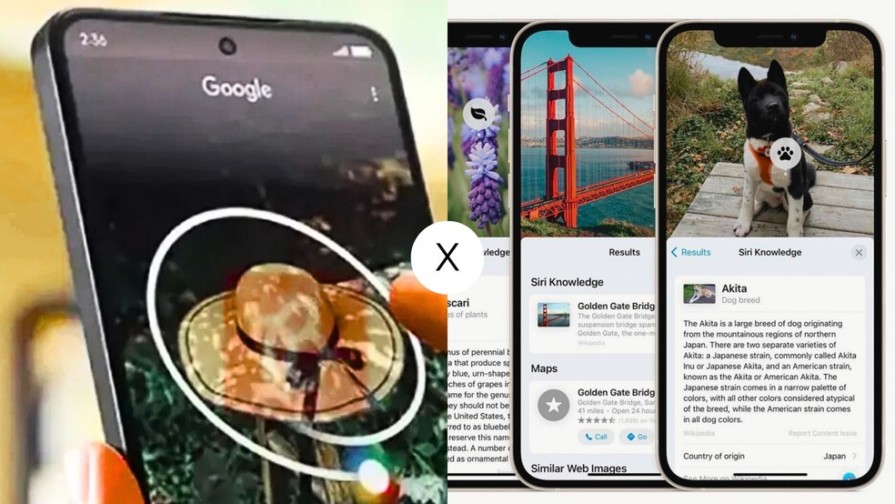 Circule para pesquisar ou Pesquisa Visual? Apesar de similares, funções do Xiaomi e iPhone 17 Pro Max são bem diferentes — Foto: Arte/TechTudo