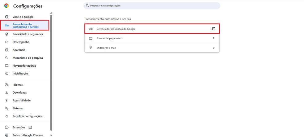  Reprodução/Caroline Silvestre