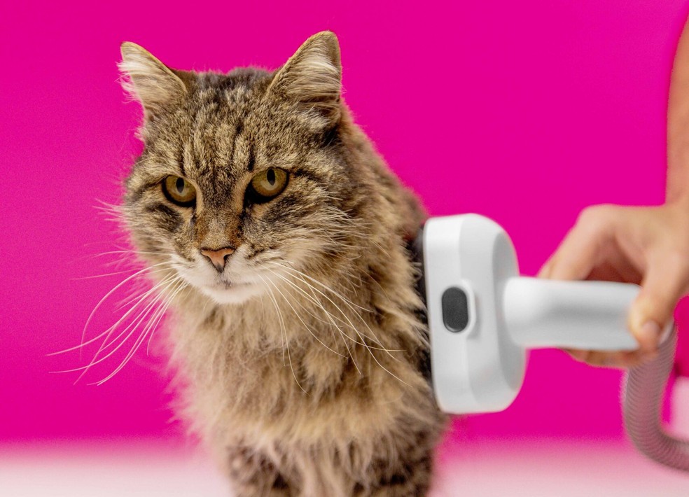  Divulgação/Kärcher