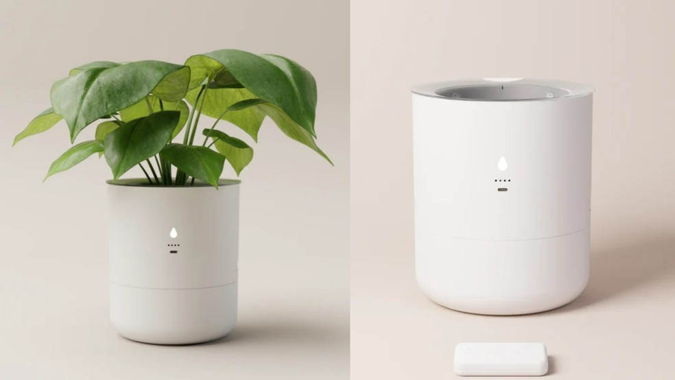  Reprodução/LeafyPod.One