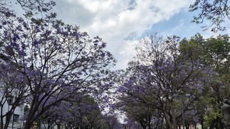  Aline Barbieri/TechTudo