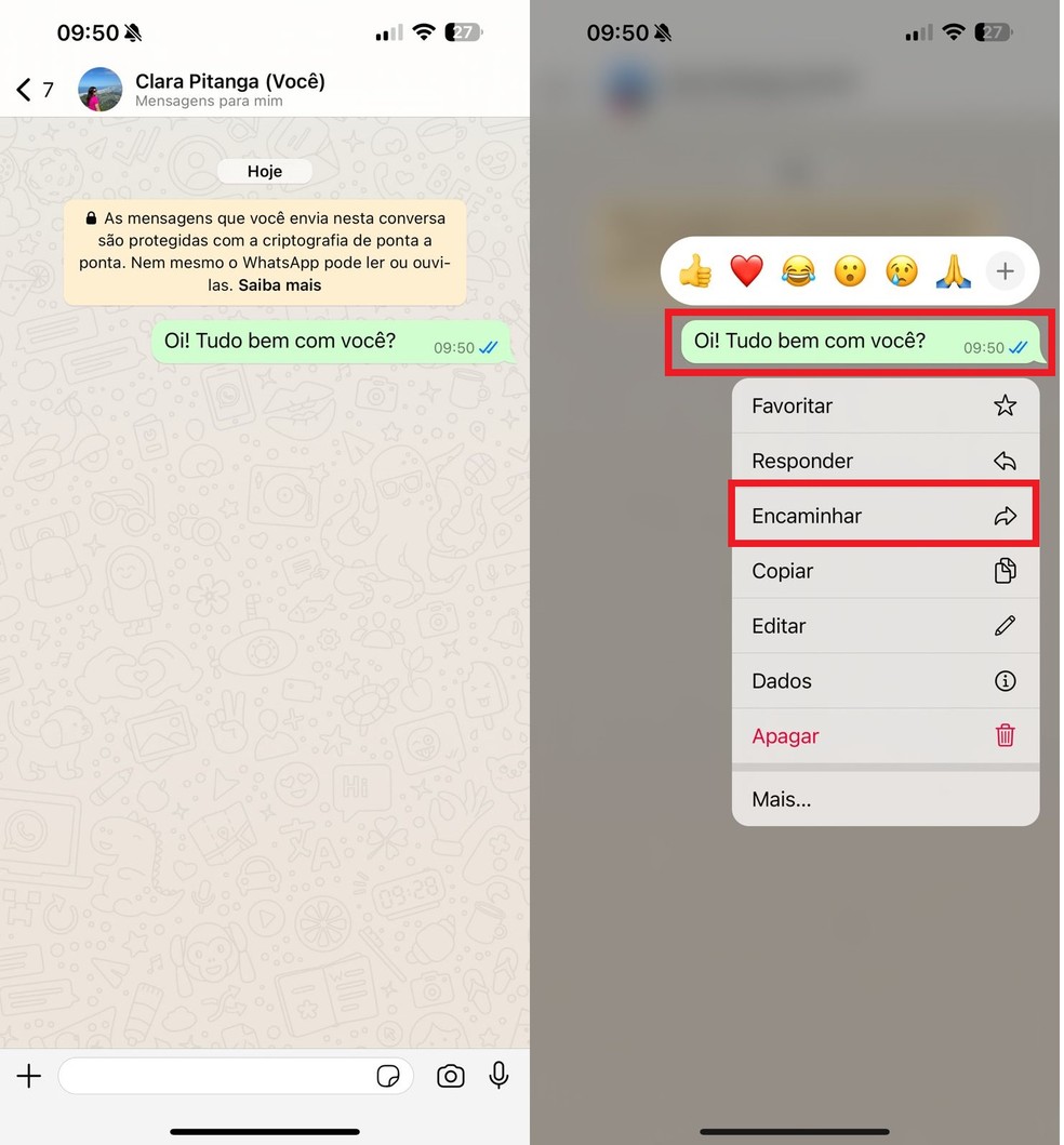 Envie uma mensagem para você e encaminhe o texto para a pessoa desejada sem que o "Digitando..." apareça no app — Foto: Reprodução/Clara Fabro