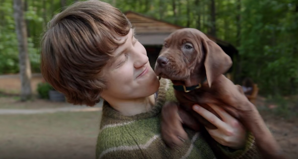 Scooby Doo na Netflix: veja elenco, quando sai e detalhes da série live-action