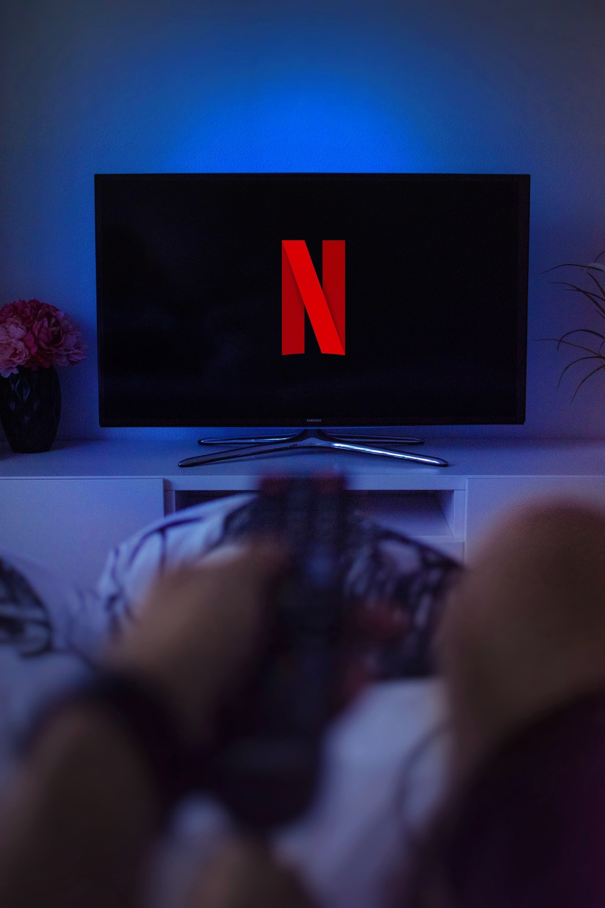 Veja as medidas que a Netflix está usando para impedir o compartilhamento  de senhas - BS9
