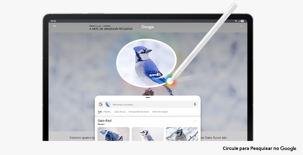Recurso "Circule para Pesquisar" vem integrado ao Samsung Galaxy Tab S10 FE — Foto: Reprodução/Samsung