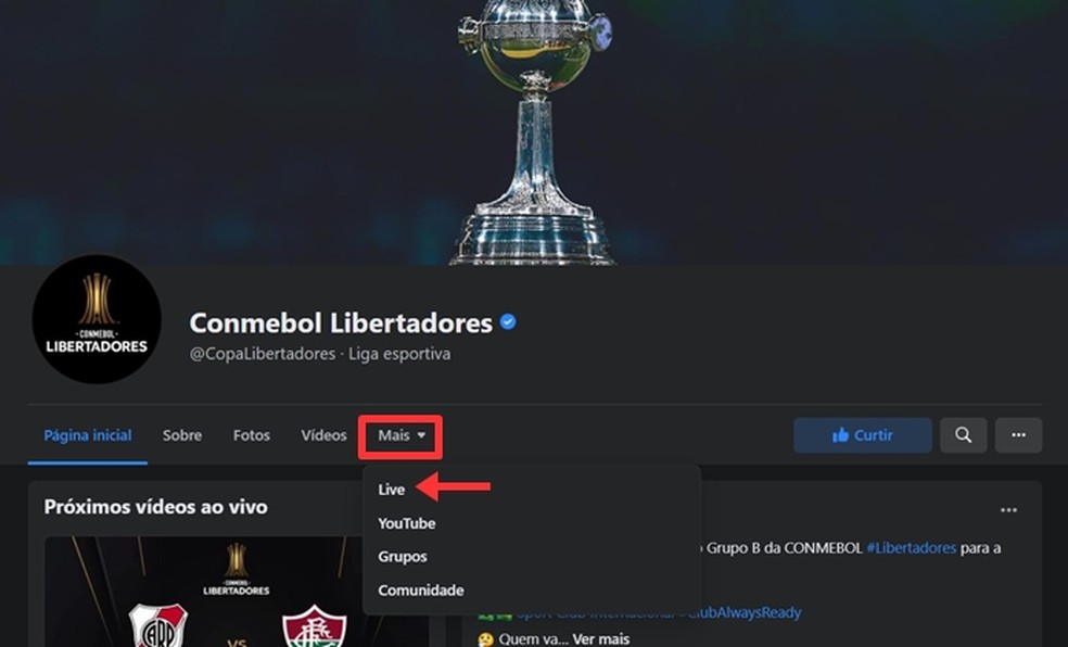 River Plate x Fluminense: o que está em jogo no grupo da Libertadores?