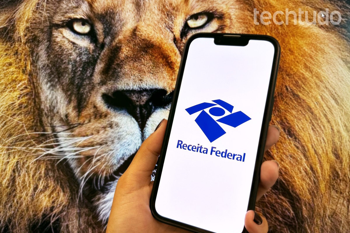 MEU IMPOSTO DE RENDA 2025: SAIBA COMO DECLARO O IRPF SEM BAIXAR NADA