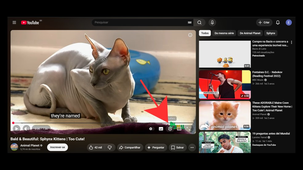 Como tirar a dublagem automática do YouTube e voltar ao áudio original