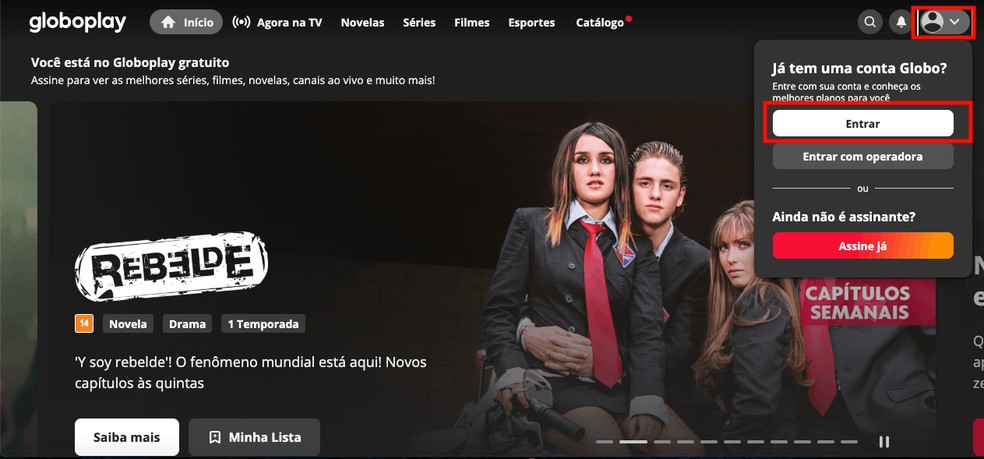 Conheça quatro ferramentas on-line para ver séries, filmes e jogos com os  amigos - Jornal O Globo