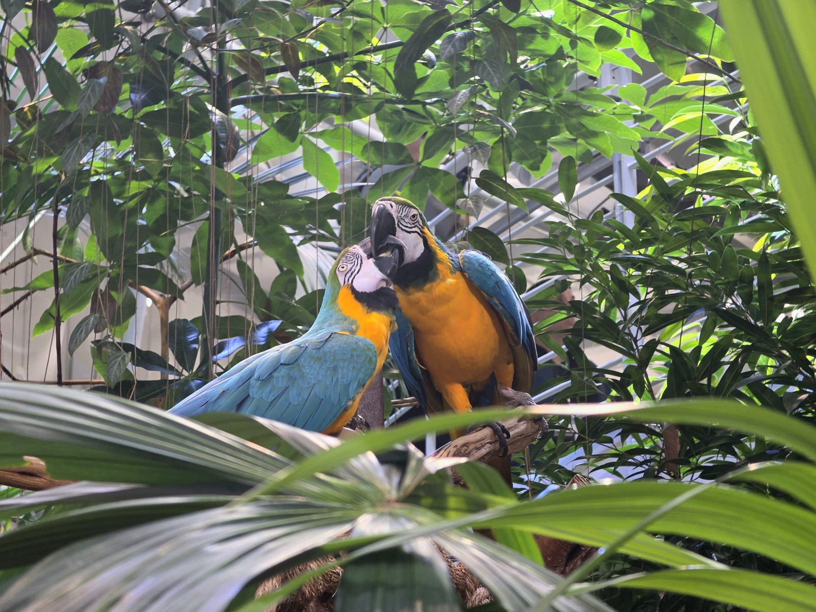 Ana Letícia Loubak/TechTudo