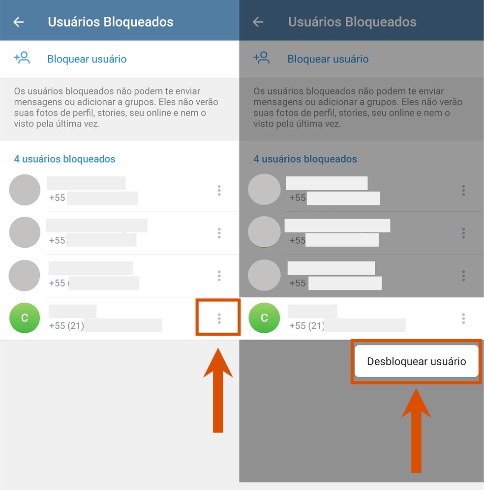  Reprodução/Paola Mansur