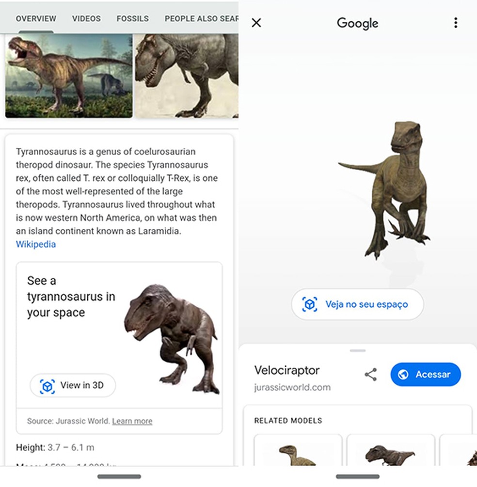 Lançado em 2019, recurso com animais 3D do Google faz sucesso só agora • B9