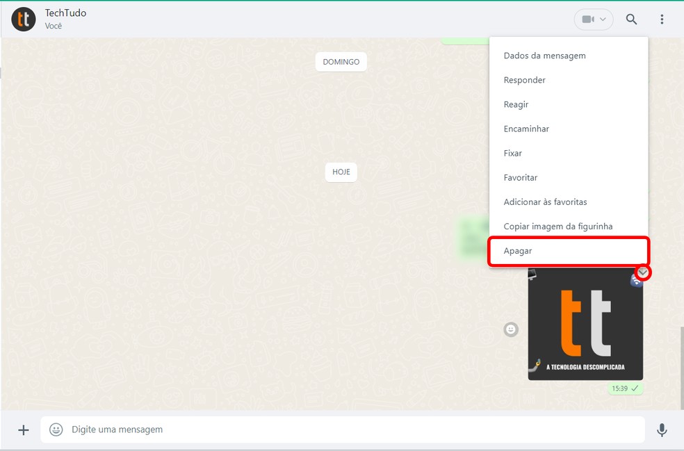 Usuário pode apagar figurinha do WhatsApp pelo computador — Foto: Reprodução/Rodrigo Fernandes