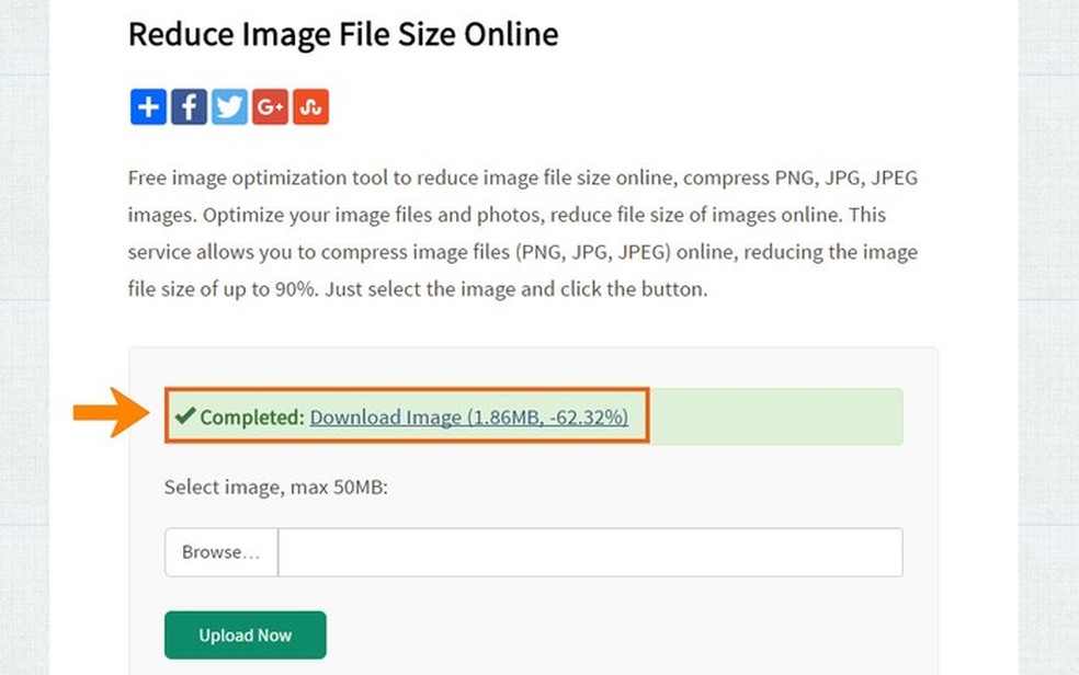 Página 2  Fotos Medir Cintura, 87.000+ fotos de arquivo grátis de alta  qualidade