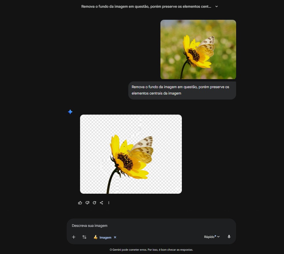  Reprodução/Gabriel Pereira