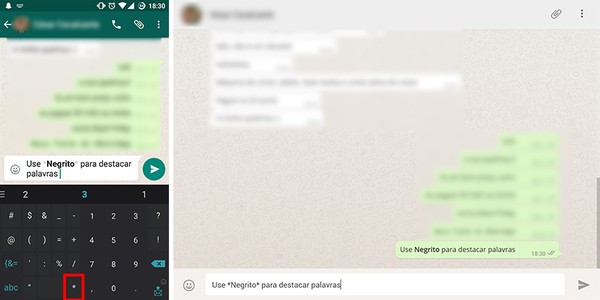 WhatsApp tem formatação com texto em negrito de forma nativa — Foto: Reprodução/Elson de Souza