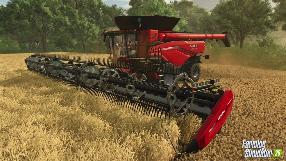 Cuide de todas as áreas da sua fazenda em Farming Simulator 25 — Foto: Reprodução/Steam