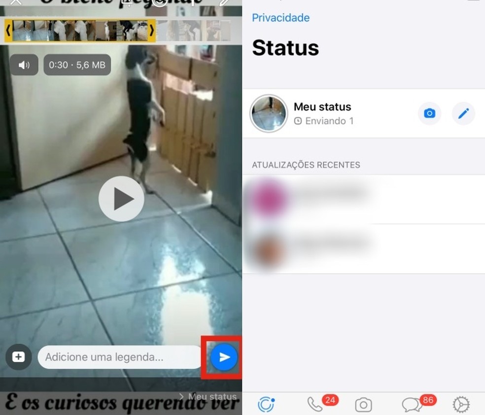 Como encontrar e postar vídeos engraçados no Status do WhatsApp - Olhar  Digital