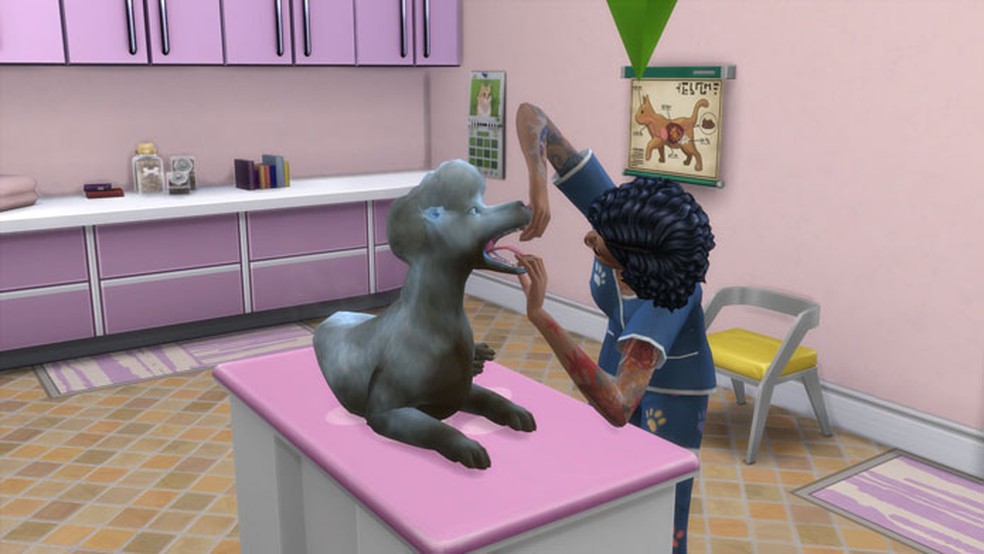 Game permite cuidar de uma casa lotada de gatos