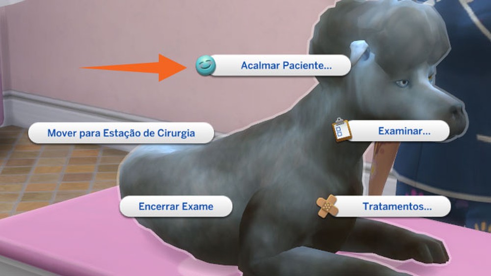 Confira dicas para ser um veterinário em The Sims 4 Gatos e Cães
