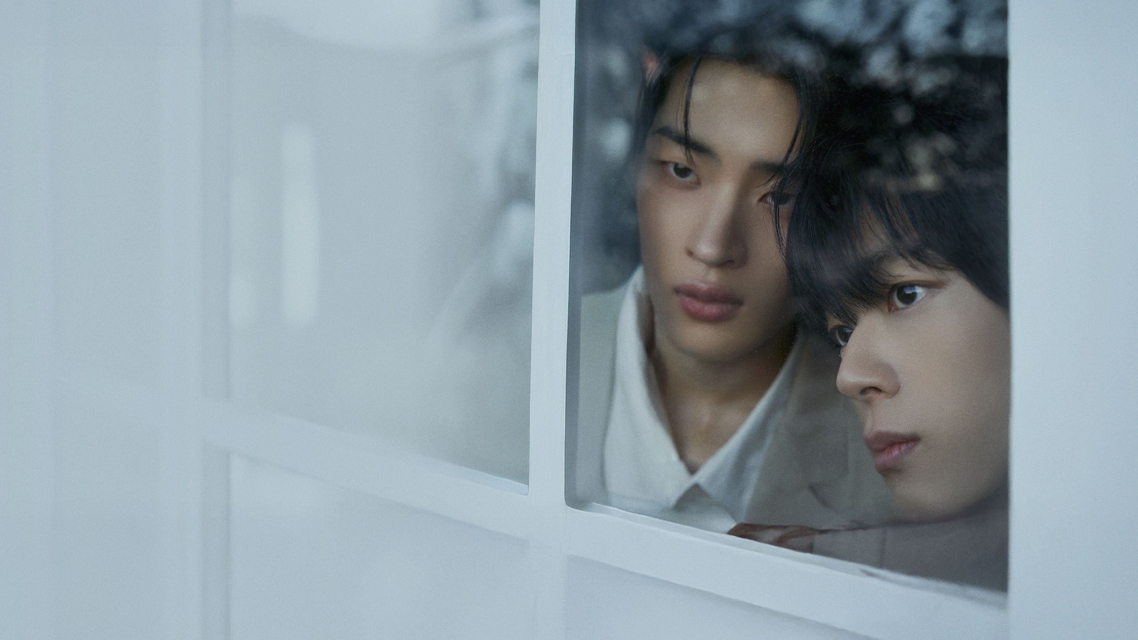 12 excelentes doramas BL pra assistir em 2026