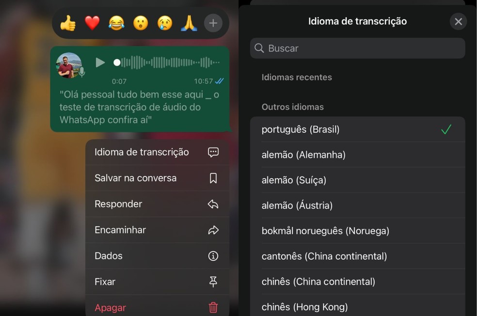 É possível ainda ajustar o idioma da transcrição de áudio do WhatsApp; entenda — Foto: Reprodução/TechTudo