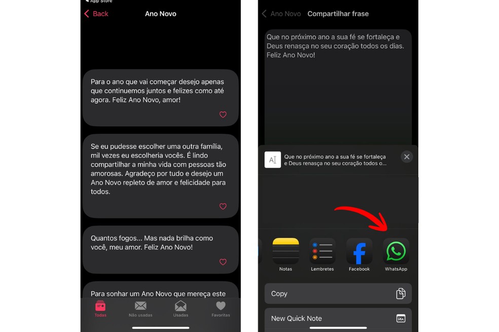  Reprodução/João Pedro Lima