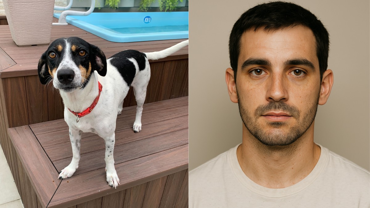 ChatGPT transforma seu cachorro em humano; confira prompt para fazer trend