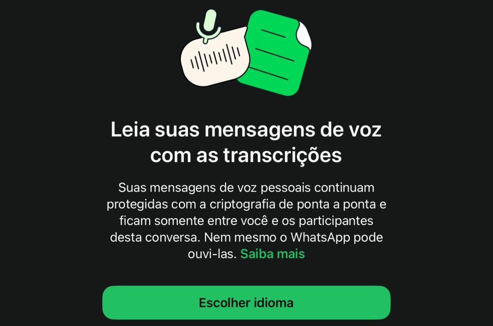 Transcrever áudio no WhatsApp agora é possível; confira — Foto: Reprodução/TechTudo