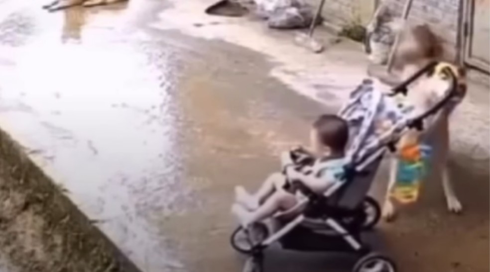  Reprodução/Instagram