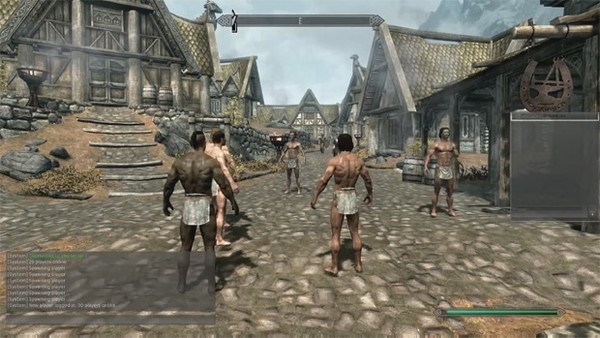 Vaga de emprego sugere elemento multiplayer em The Elder Scrolls VI