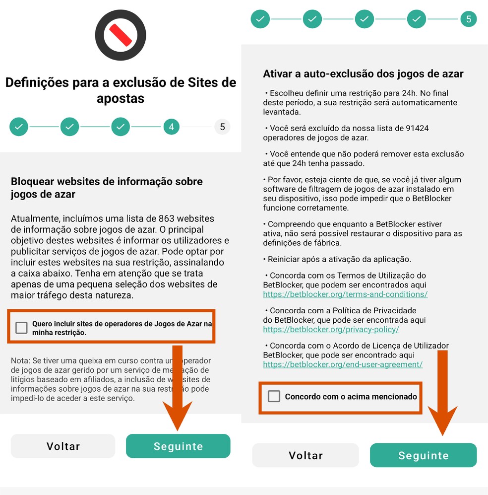  Reprodução/Paola Mansur