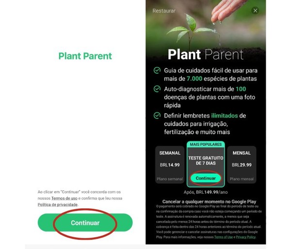 Plant Parent app ajuda a cuidar das suas plantas; veja