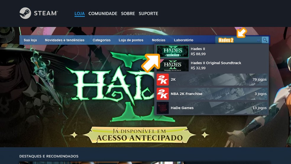 Na loja digital Steam procure por "Hades 2" e selecione o game entre os resultados — Foto: Reprodução/Rafael Monteiro