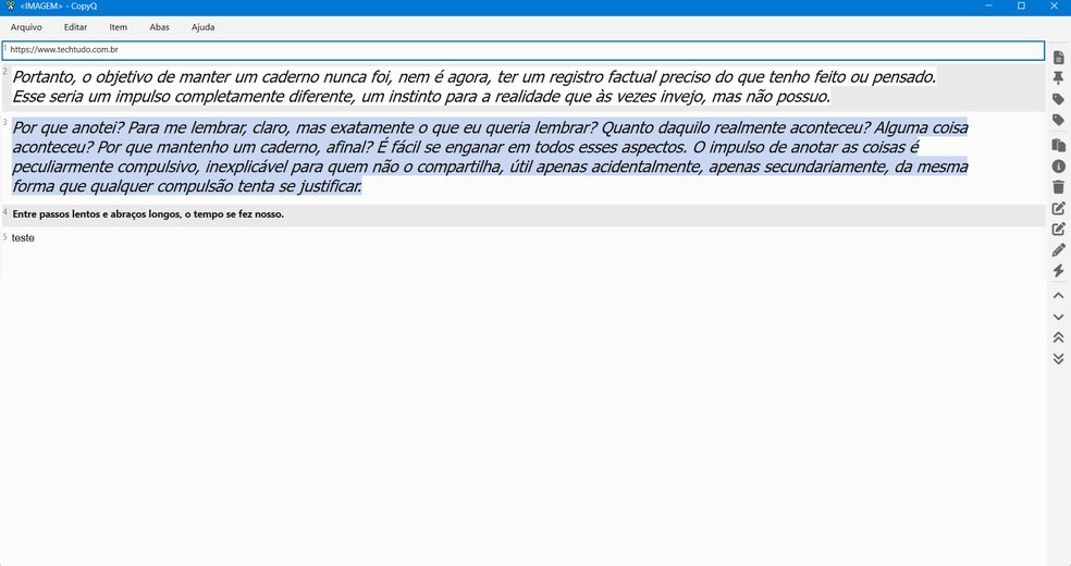  Reprodução/Caroline Silvestre