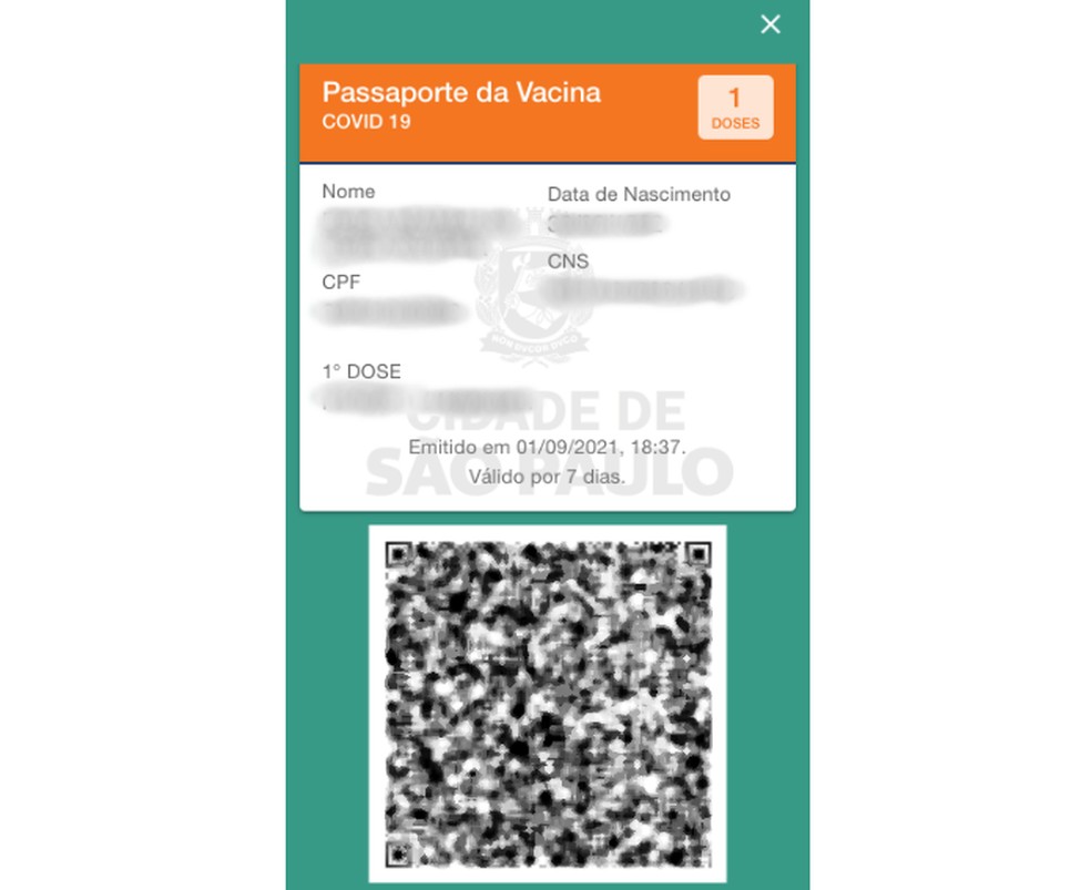 Poupatempo Digital: como emitir o certificado de vacinação da covid-19 pelo  app passo a passo!