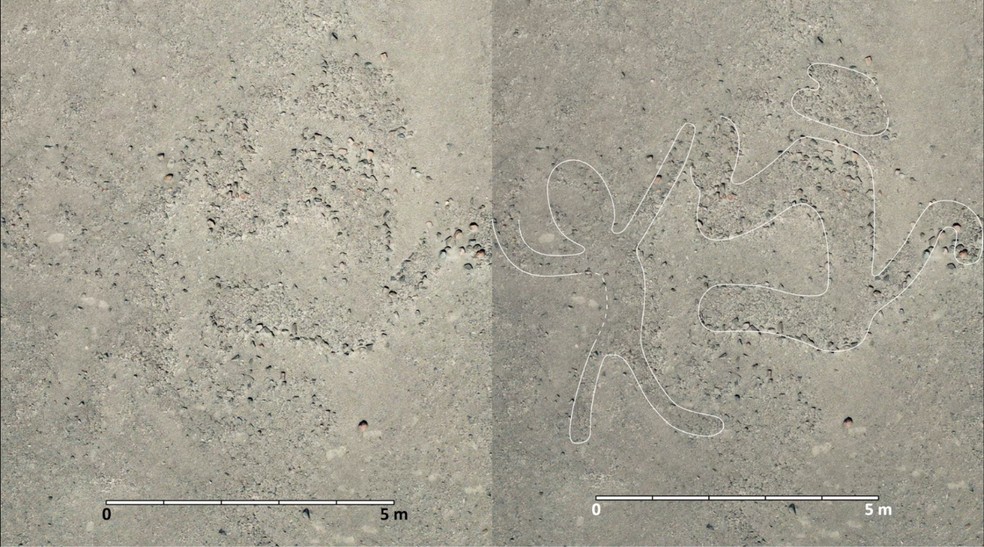  Reprodução/Universidade de Yamagata