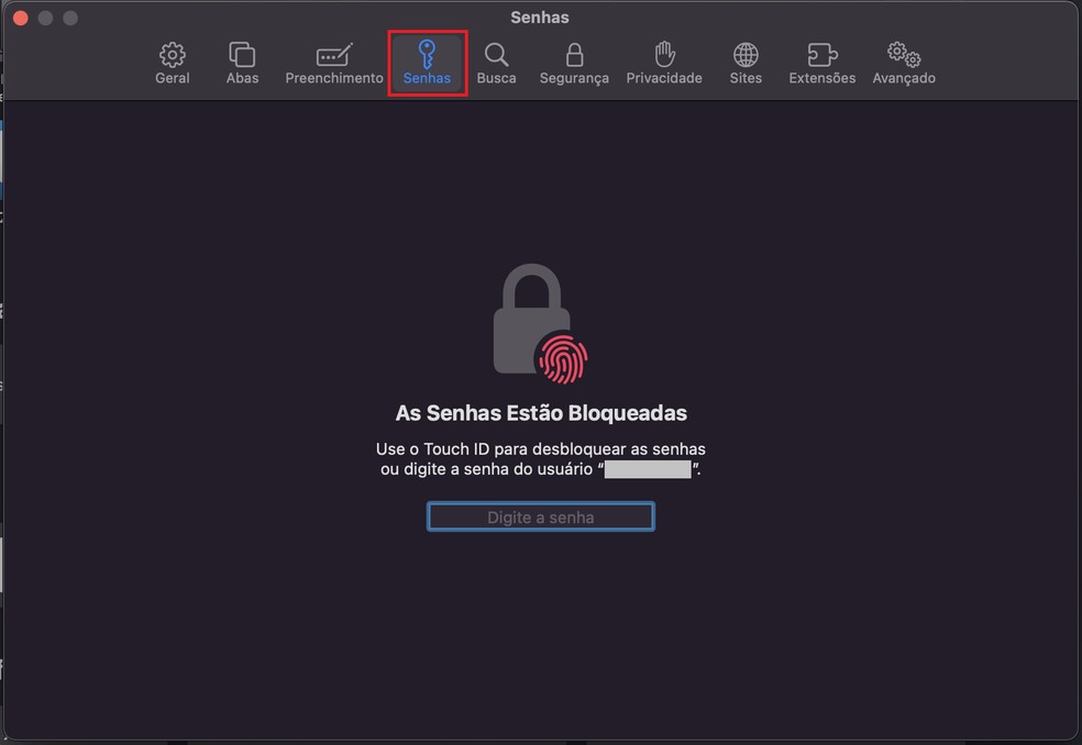 Tela para acessar o gerenciador de senhas exige o Touch ID ou a senha do computador — Foto: Reprodução/Caroline Silvestre