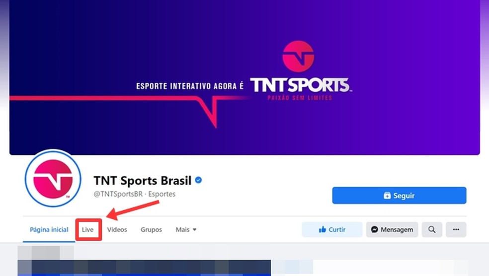 Os vencedores da Champions League - TNT Sports Brasil
