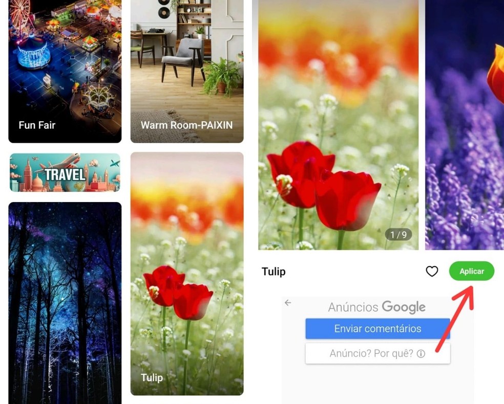 Reprodução/Gisele Souza