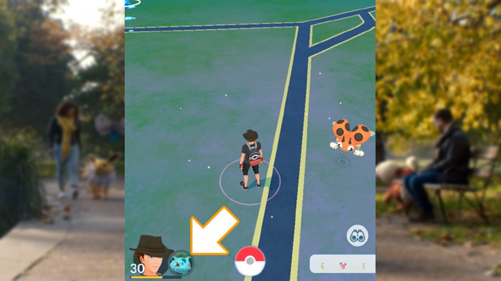 Aventuras com o companheiro — Pokémon GO Centro de Apoio