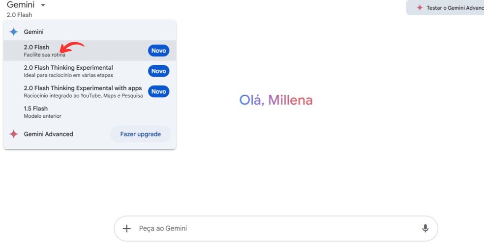  Reprodução/Millena Borges