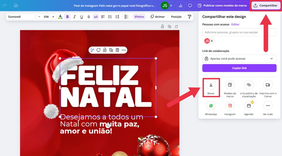  Reprodução/Júlia Silveira
